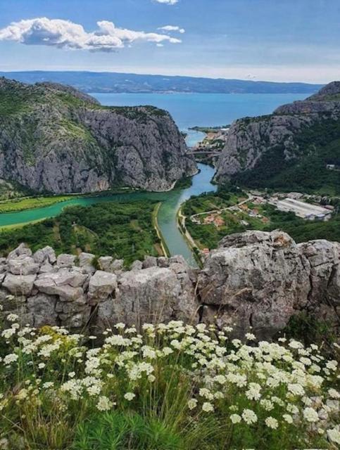 Apartment Ines Omiš Eksteriør billede